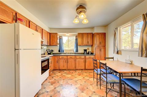 2248 Shelton Dr, Bailey, CO 80421 photo 10