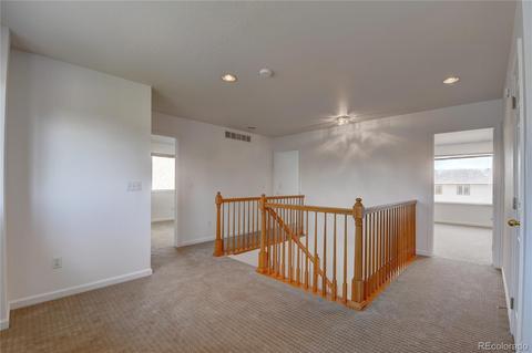 5217 E 118th Pl, Thornton, CO 80233 photo 21