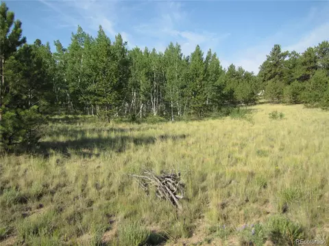 9798 Ranch Rd, Hartsel, CO 80449 photo 18