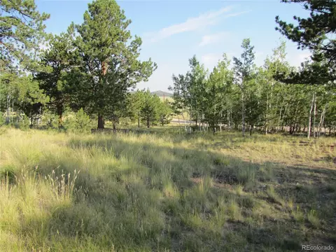 9798 Ranch Rd, Hartsel, CO 80449 photo 14