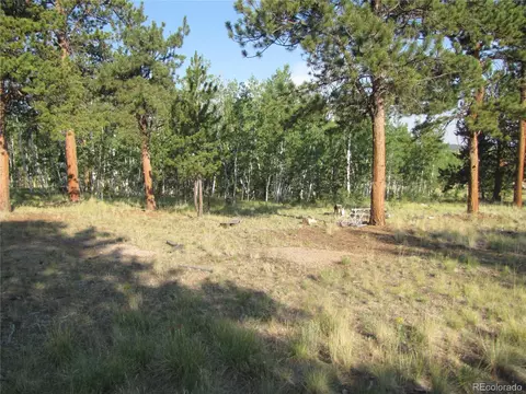 9798 Ranch Rd, Hartsel, CO 80449 photo 13