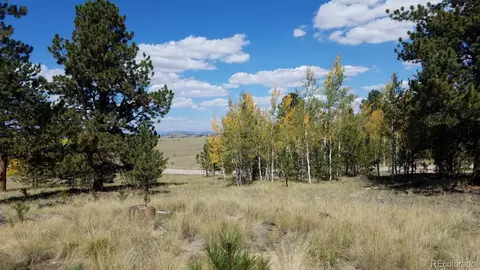 9798 Ranch Rd, Hartsel, CO 80449 photo 23