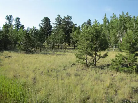 9798 Ranch Rd, Hartsel, CO 80449 photo 20