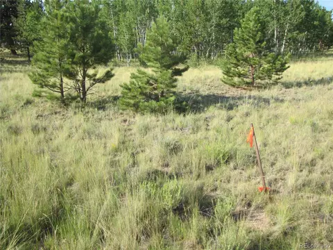9798 Ranch Rd, Hartsel, CO 80449 photo 19