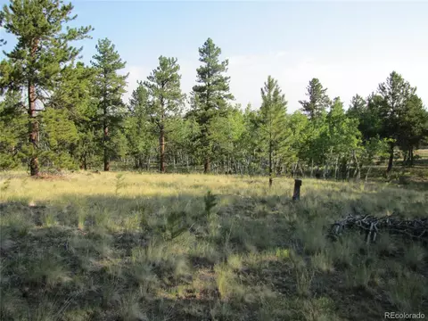 9798 Ranch Rd, Hartsel, CO 80449 photo 8