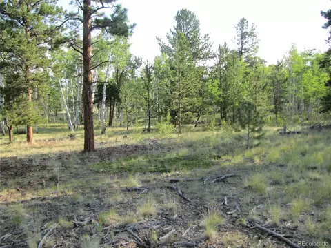 9798 Ranch Rd, Hartsel, CO 80449 photo 7
