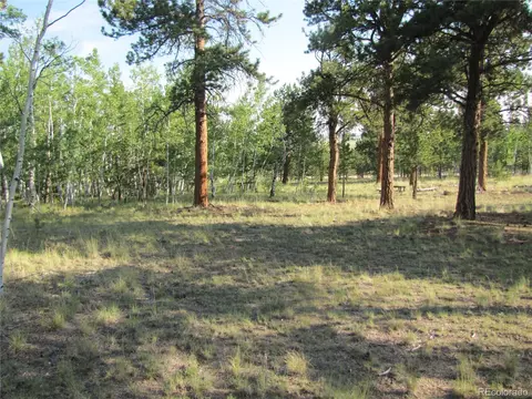 9798 Ranch Rd, Hartsel, CO 80449 photo 4