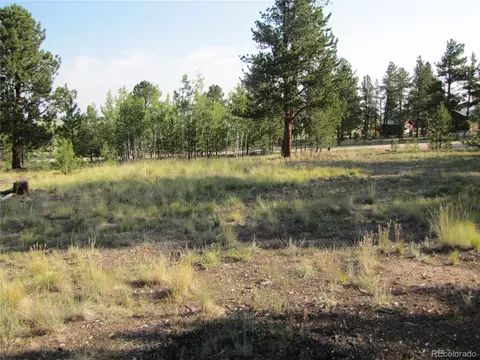 9798 Ranch Rd, Hartsel, CO 80449 photo 12