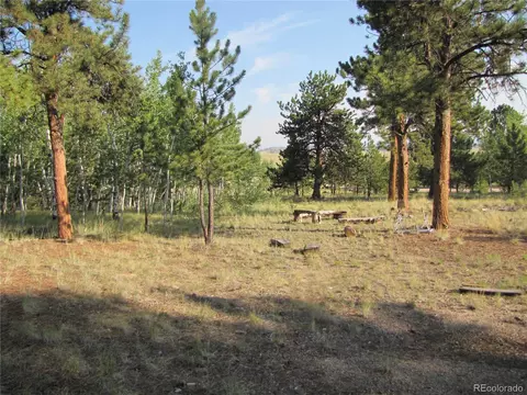 9798 Ranch Rd, Hartsel, CO 80449 photo 3