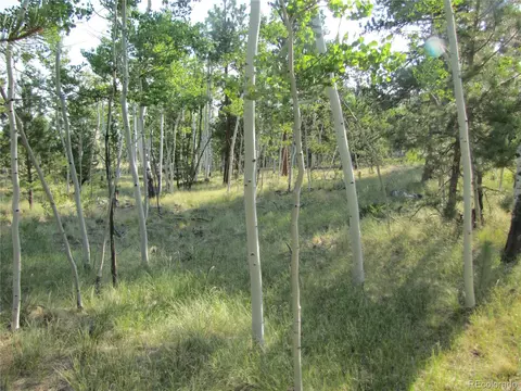 9798 Ranch Rd, Hartsel, CO 80449 photo 5