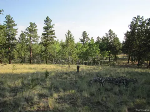 9798 Ranch Rd, Hartsel, CO 80449 photo 9
