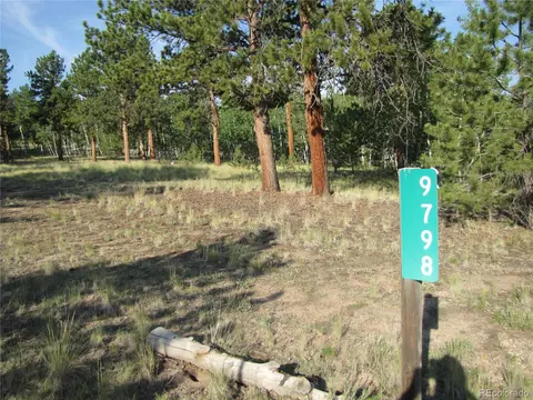 9798 Ranch Rd, Hartsel, CO 80449 photo 2