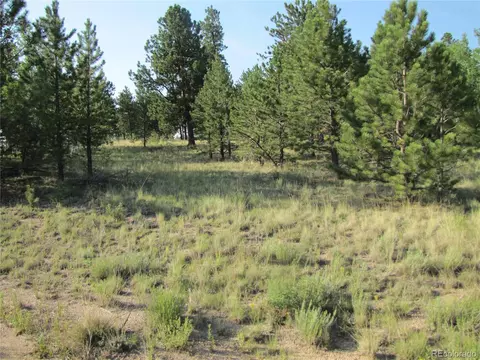 9798 Ranch Rd, Hartsel, CO 80449 photo 17
