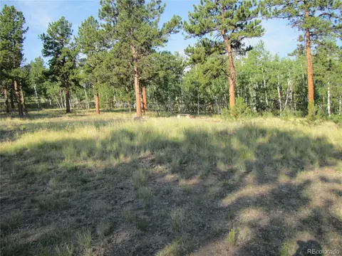 9798 Ranch Rd, Hartsel, CO 80449 photo 15