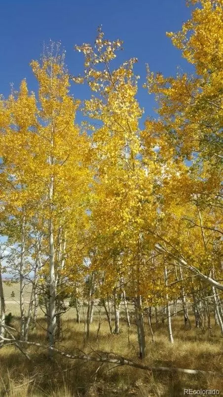 9798 Ranch Rd, Hartsel, CO 80449 photo 22