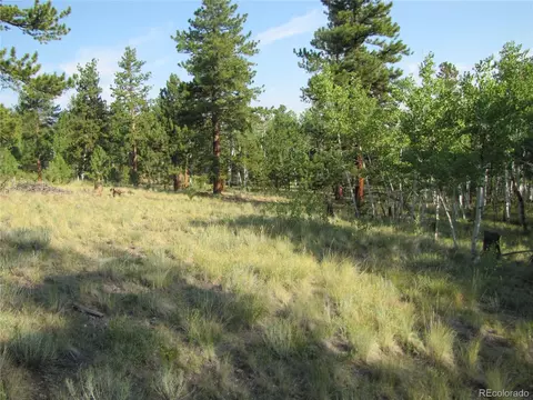 9798 Ranch Rd, Hartsel, CO 80449 photo 11