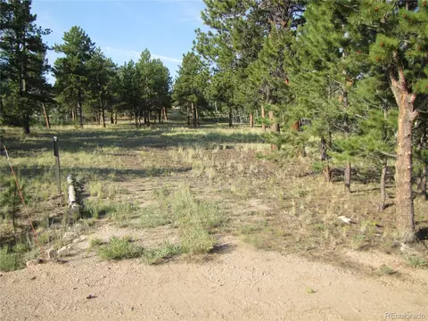 9798 Ranch Rd, Hartsel, CO 80449