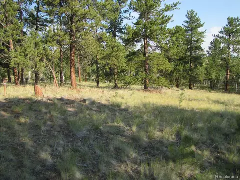 9798 Ranch Rd, Hartsel, CO 80449 photo 10