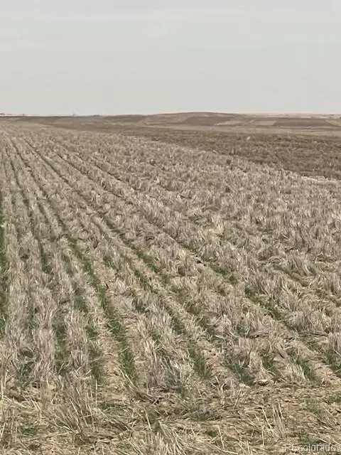 tbd E 112th Ave, Bennett, CO 80102 photo 13