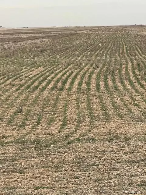 tbd E 112th Ave, Bennett, CO 80102 photo 12