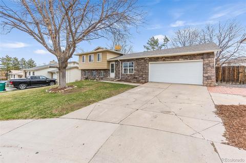 4852 S Tabor St, Morrison, CO 80465 photo 17