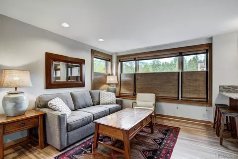 535 S Park Ave #206, Breckenridge, CO 80424