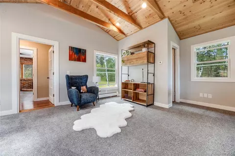 8783 S Ault Ln, Morrison, CO 80465 photo 21