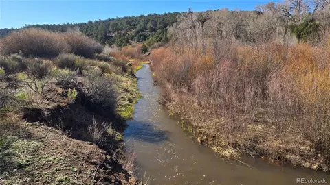 lot4471 Ehrenclow Rd, Fort Garland, CO 81133