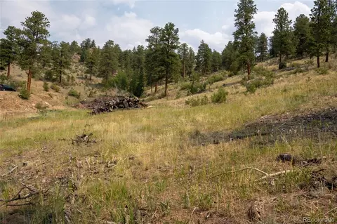 13990 Pine Valley Rd, Pine, CO 80470 photo 3