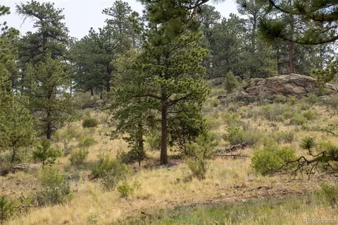 13990 Pine Valley Rd, Pine, CO 80470 photo 20