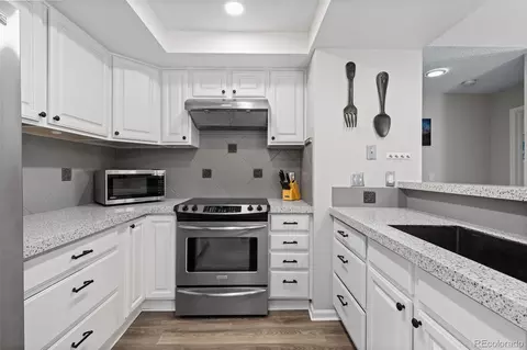 9364 Bauer Ct, Lone Tree, CO 80124 photo 6