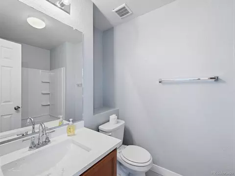 Bath - 20641 Randolph Pl, Denver, CO 80249 photo 4 of 6