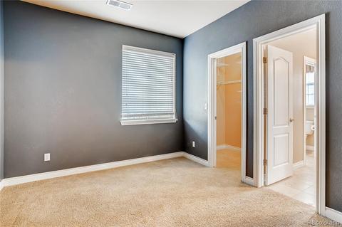 7962 E 29th Pl, Denver, CO 80238 photo 15