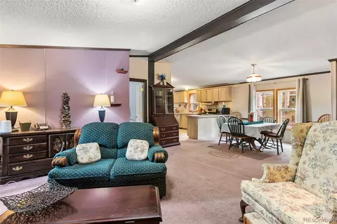 543 Will Stutley Dr, Divide, CO 80814 photo 4