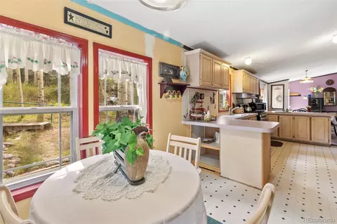 543 Will Stutley Dr, Divide, CO 80814 photo 6