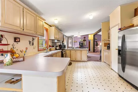 543 Will Stutley Dr, Divide, CO 80814 photo 7