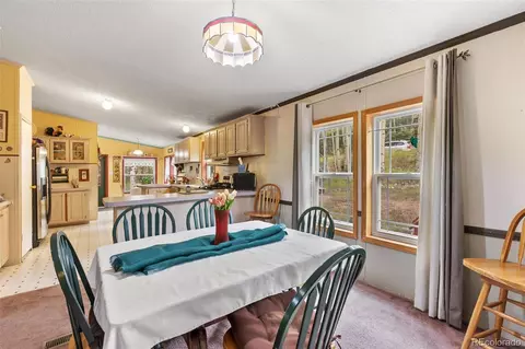 543 Will Stutley Dr, Divide, CO 80814 photo 12