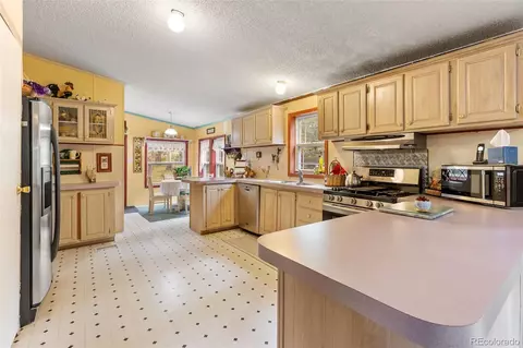 543 Will Stutley Dr, Divide, CO 80814 photo 10