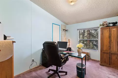 543 Will Stutley Dr, Divide, CO 80814 photo 17