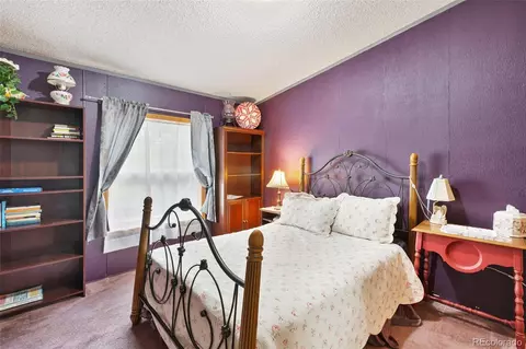 543 Will Stutley Dr, Divide, CO 80814 photo 19