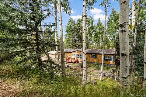 543 Will Stutley Dr, Divide, CO 80814 photo 26