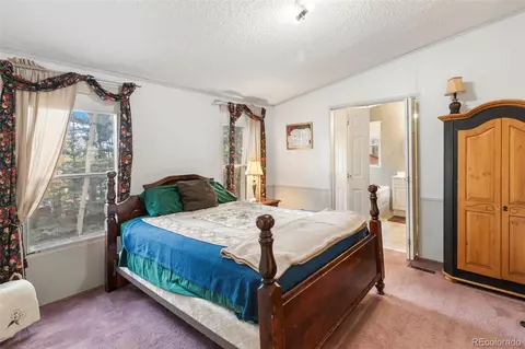 543 Will Stutley Dr, Divide, CO 80814 photo 13