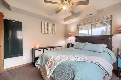 57 Sunlight Ln, Bailey, CO 80421 photo 26