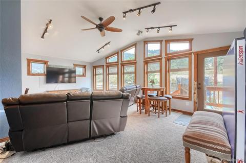 57 Sunlight Ln, Bailey, CO 80421 photo 11