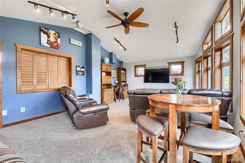 57 Sunlight Ln, Bailey, CO 80421 photo 18