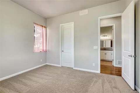 19053 Malmsbury Ct, Monument, CO 80132 photo 20