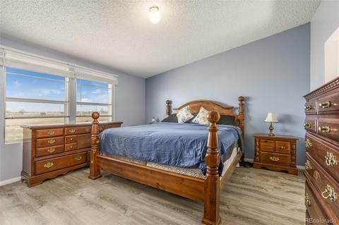 45045 E Mexico Ave, Bennett, CO 80102 photo 10