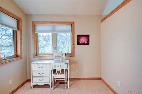 Other - 447 Blacksmith Rd, Hartsel, CO 80449 photo 13 of 15