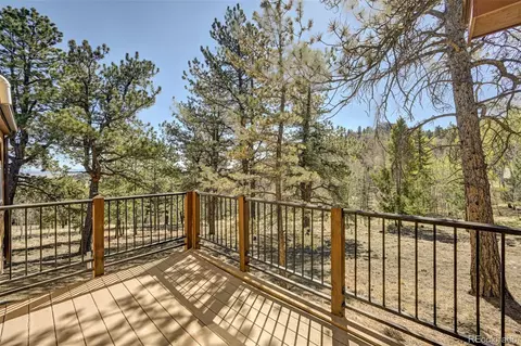 Exterior - 447 Blacksmith Rd, Hartsel, CO 80449 photo 6 of 9