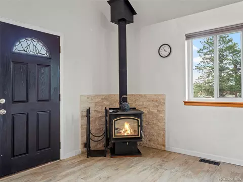 518 Beaver Trl, Bailey, CO 80421 photo 7